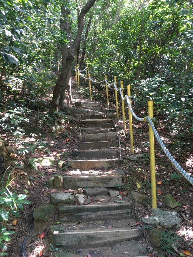 台北內湖金面山登山步道-1