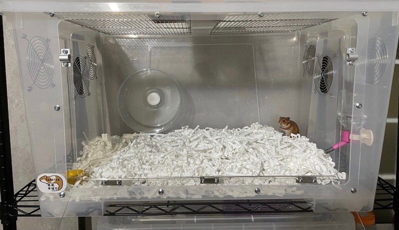 hamster_caga_ikea-box_shopee_鼠鼠幸福宅-1