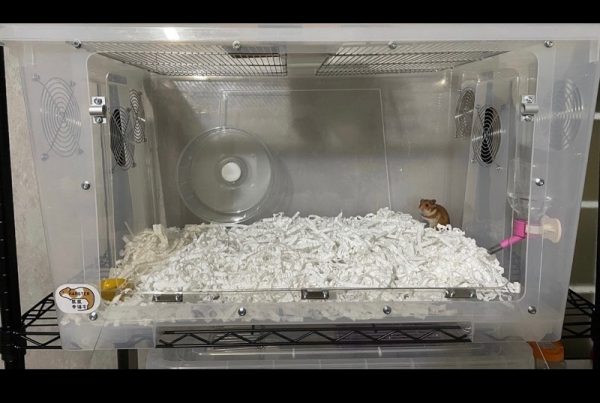 hamster_caga_ikea-box_shopee_鼠鼠幸福宅-2