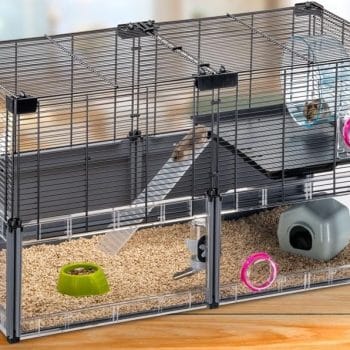 Image showcasing Which of the 4 Hamster Cage Types Is Best? Pros, Cons, and One You ...