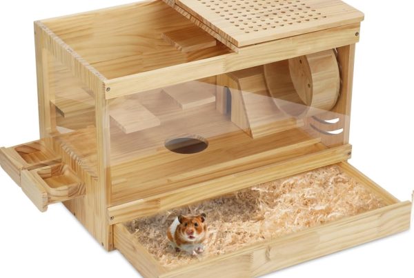 hamster_caga_wooden_amazon_YYUSFY-CV